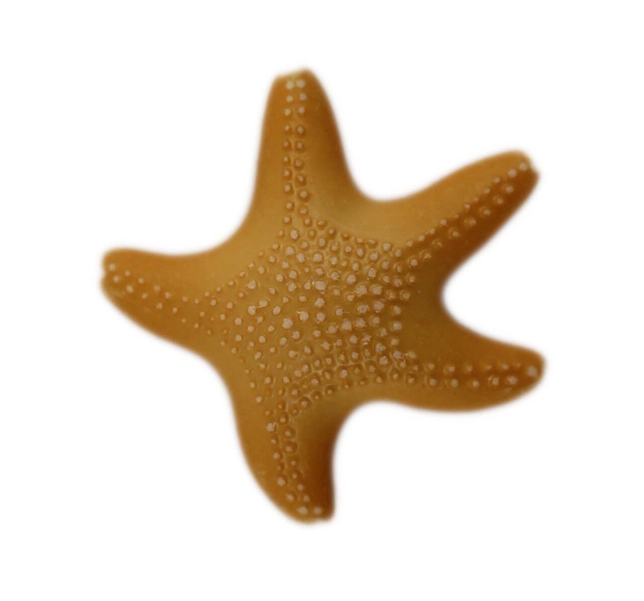 Buttons Galore and More 3D Bulk Buttons - Starfish- 25 Buttons